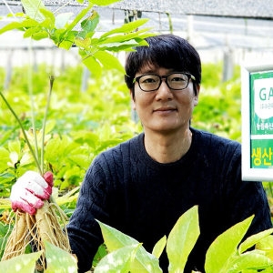 한국인삼유통공사  고려인삼 600g 인삼한뿌리 2000원꼴 20