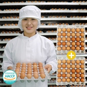 다솔농장  명품구운란  맥반석 구운계란 구운란 중란 60구