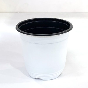 왁스콜렉션  이색포트 흰색 150 비닐포트 화분 모종 분갈이흙