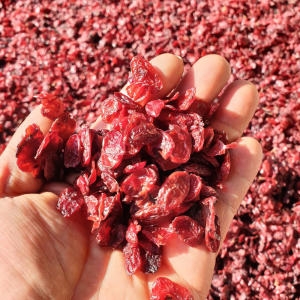 자연나라닷컴  구례 산동마을 무농약 친환경 건산수유   지리산농부마을