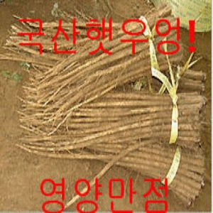 연고농장 햇우엉 2kg [1개]
