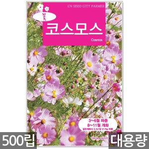 코스모스  씨앗 500립 / 씨앗 씨 꽃씨앗 꽃 꽃씨 씨 야생화씨앗 야생화 야생꽃씨