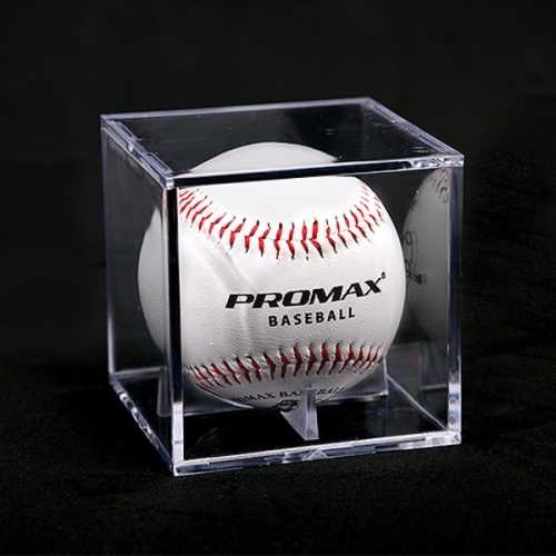 프로맥스  야구공 케이스