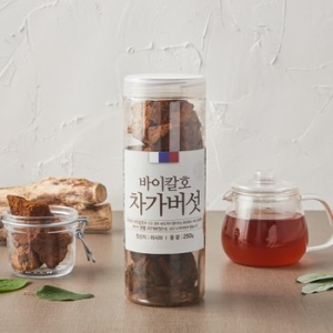 청솔  바이칼호 차가버섯 250g