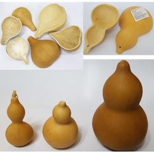 조롱박. 표주박 박바가지 민속용품 장식 인테리어소품