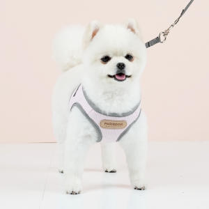 패리스독 에어 프레시 하네스