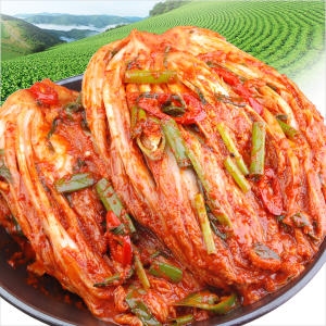 푸드뱅크 생포기김치 10kg