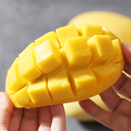 제니망고  열대과일의 여왕 필리핀 후레쉬 망고 12과 3kg