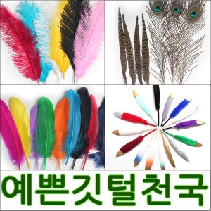 조은  드림캐쳐깃털