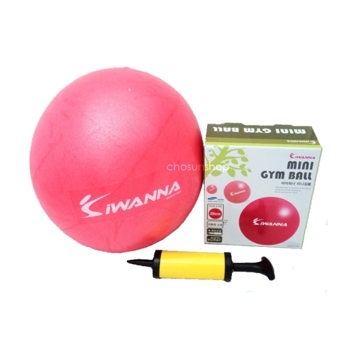 코리아스포츠 아이워너 마사지 짐볼 플러스