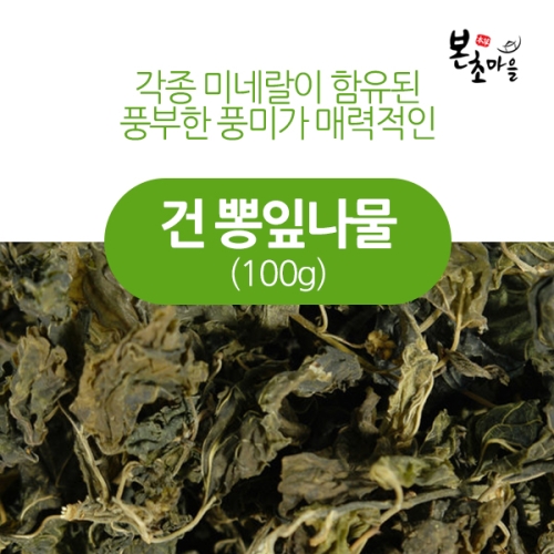 본초마을 건뽕잎나물 100g [1개] - 에누리 가격비교