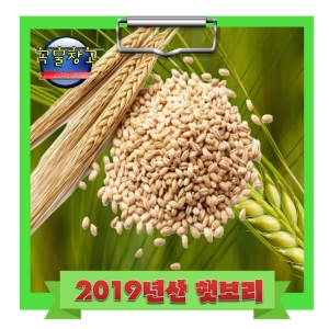 쌀맛나네 곡물창고 찰보리 1kg [1개]