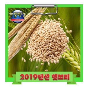 쌀맛나네 곡물창고 찰보리 1kg[1개]