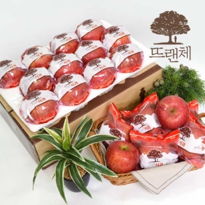 뜨랜체 씻어나온 미시마 사과 3kg[1개]