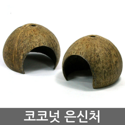 코코넛 은신처/햄스터/햄스터집/햄스터장/햄스터용품/햄스터사료/열대어/구피/물고기