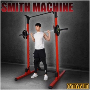 짐나지움 스미스머신