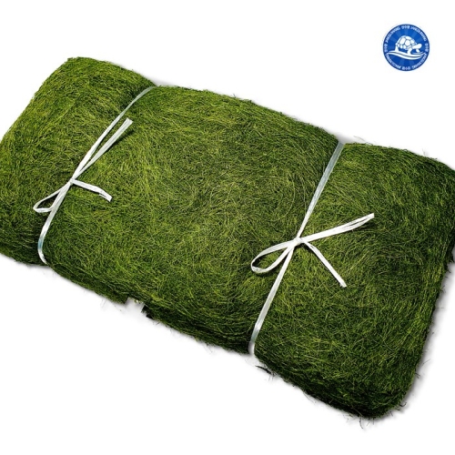 건푸드  감태김 말린감태  20장  생 감태 햇 감태