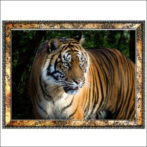 드림하우스  C509/호랑이액자 그림/백호사진