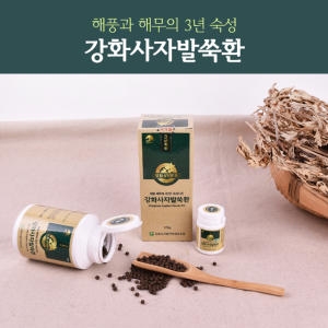 강화약쑥 사자발쑥 환/쑥환/약쑥환/강화 - 에누리 가격비교