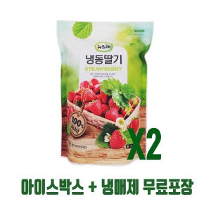 뉴뜨레  국내산 냉동딸기 1kg