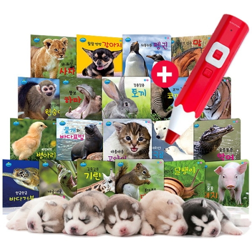 세이펜 레인보우펜 32G (R3-2000)