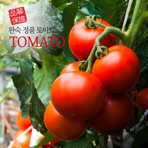 원시인농산  완숙토마토 5kg 중과