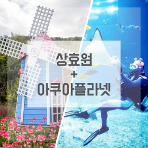   제주 BIG2 아쿠아플라넷 특별권 + 상효원[소인1]