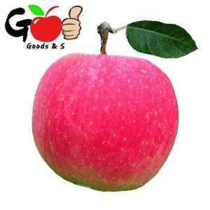 굿스앤에스  먹기좋은 사과 28~32과 [7~8kg]