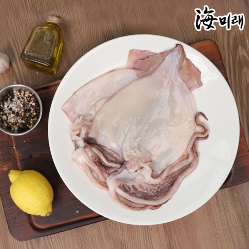 성호물산  국산 냉동 오징어