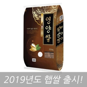 홍천철원물류센터 2019 자연이 낳은 영양쌀 20kg[1개]