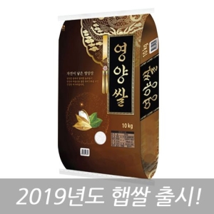 홍천철원물류센터 2019 자연이 낳은 영양쌀 10kg[1개]