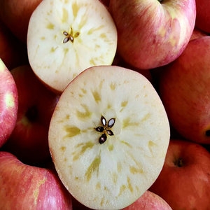 늘품농업회사법인 꿀맛 햇 홍로 사과 중과 5kg[1개]