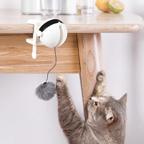 옥희독희 요요볼