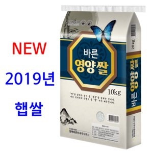 평택바른미곡주식회사 2019 바른 영양쌀 10kg [1개]