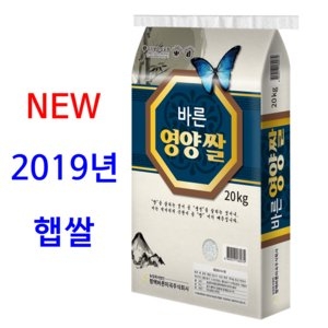 평택바른미곡주식회사  2019 바른 영양쌀 20kg [1개]