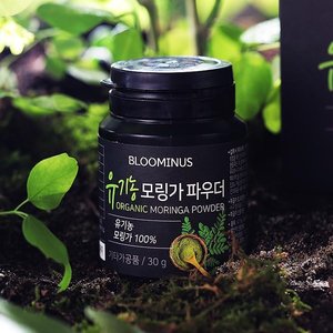  예기 블루미너스 유기농 모링가 파우더 30g[6개]