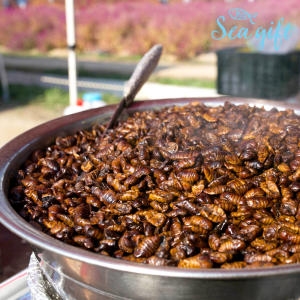 씨기프트  냉동 생 번데기 4kg