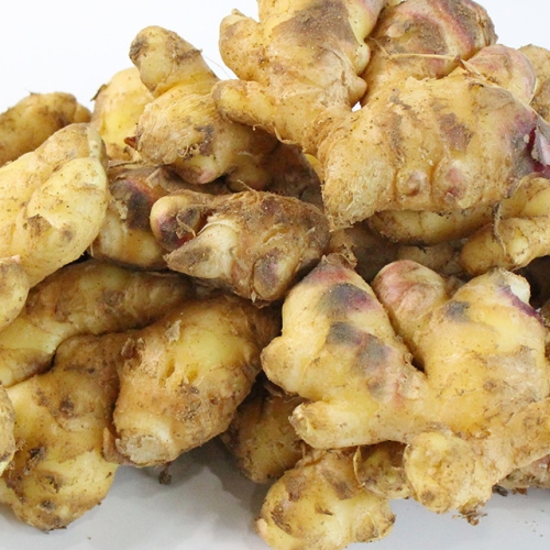 친환경팔도  팔도농장 국내산 흙생강 10kg