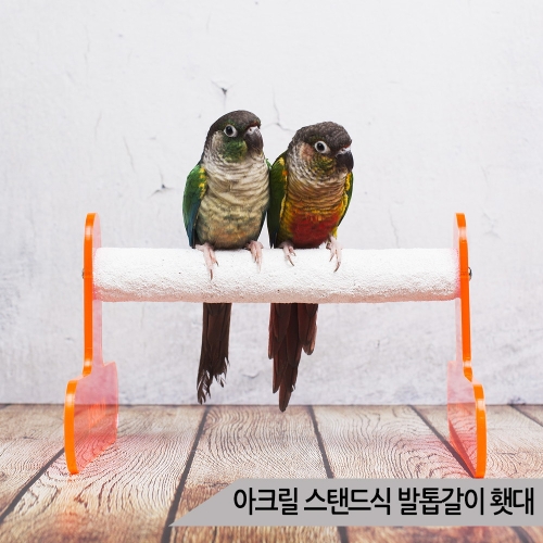 네추럴 중대형용 발톱갈이 횃대 내/외부겸용 /앵무새