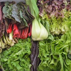 초록바구니  팜 유기농 모듬 쌈채소 1kg