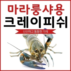 해룡  크레이피쉬 1kg 16~20미 [1개]