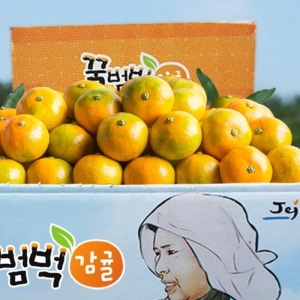 꿀범벅감귤 제주꿀범벅 타이벡감귤 로얄과 4.5kg [1개]