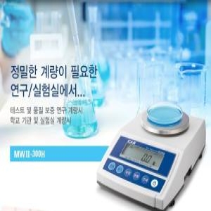 카스 MW-II 300N (300g)