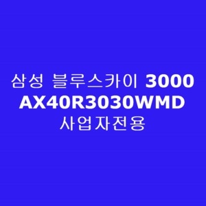 삼성전자 블루스카이 3000 AX40R3030WMD(사업자전용)[사업자전용]