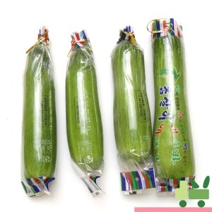 사라상회  인큐 애호박 상