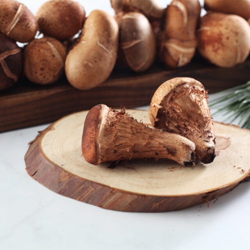 산아래참송이 향채움 국내산 참송이버섯 1kg