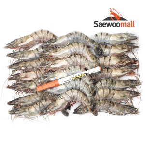 새우몰  블랙타이거새우 A급 구이용 20마리 500g