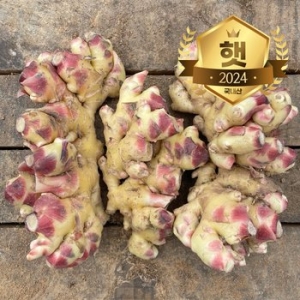 햇살조은  경북 햇 흙생강 5kg