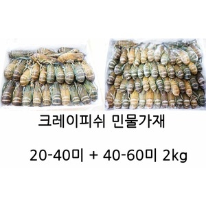 랩쿡 크레이피쉬 2kg 40~60미[1개]