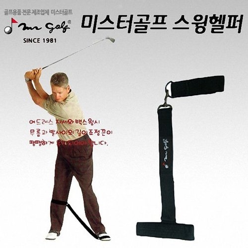 디엠  군자실업 골 프 스윙자세 교 정 헬퍼 연습기 DFG331853